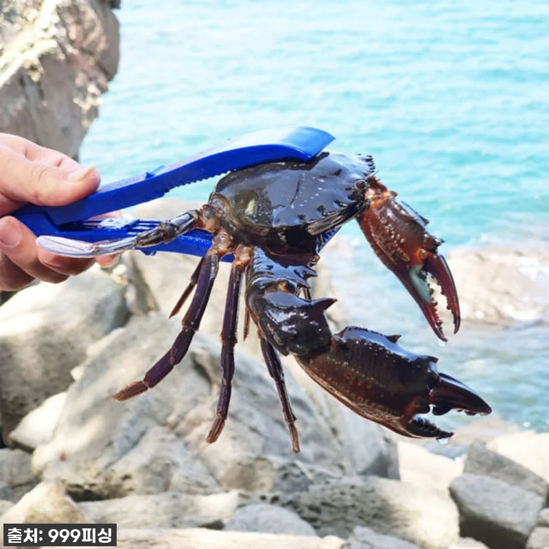 🎣 ✨인생템 등극! 붕어 낚시 필수템 관련 이미지 4