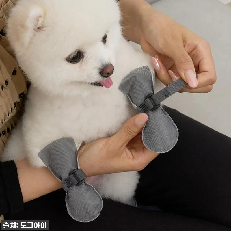 ✨ 품절임박! 우리 댕댕이 발을 지켜 관련 이미지 6