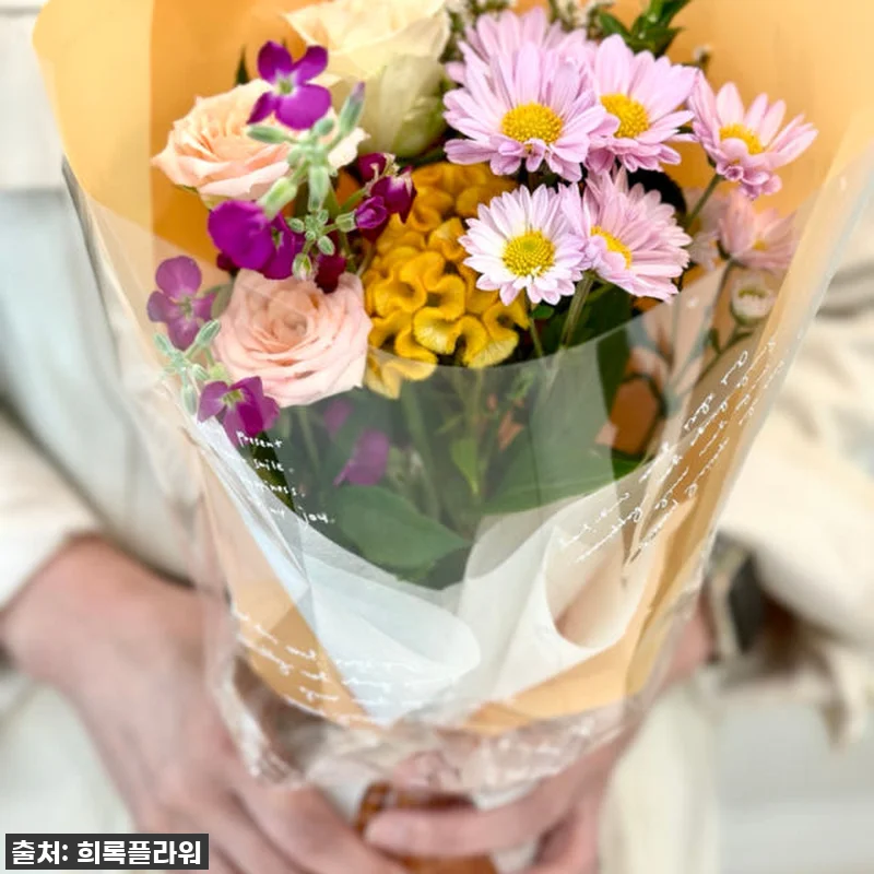 역대급 할인가! 품절되기 전에 꼭 사 관련 이미지 7