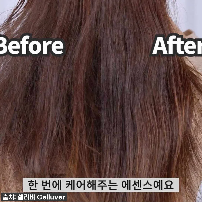찐후기! 품절되기 전에 쟁여야 할 셀 관련 이미지 10