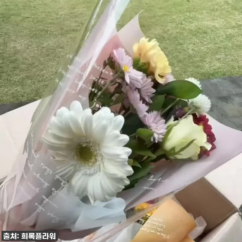 역대급 할인가! 품절되기 전에 꼭 사 관련 이미지 9