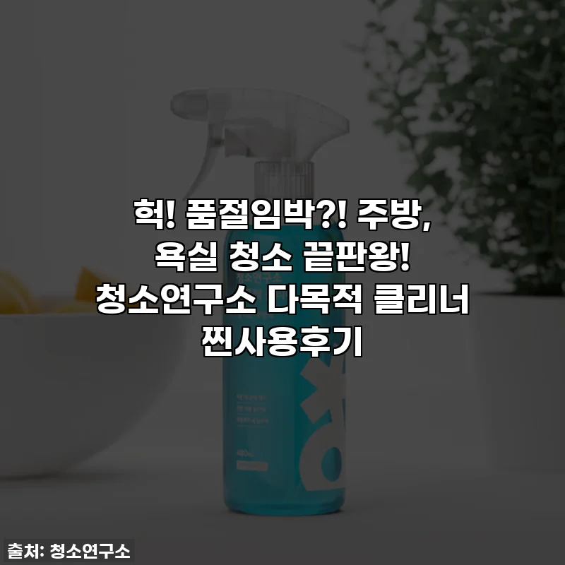 헉! 품절임박?! 주방, 욕실 청소 끝판왕! 청소연구소 다목적 클리너 찐사용후기