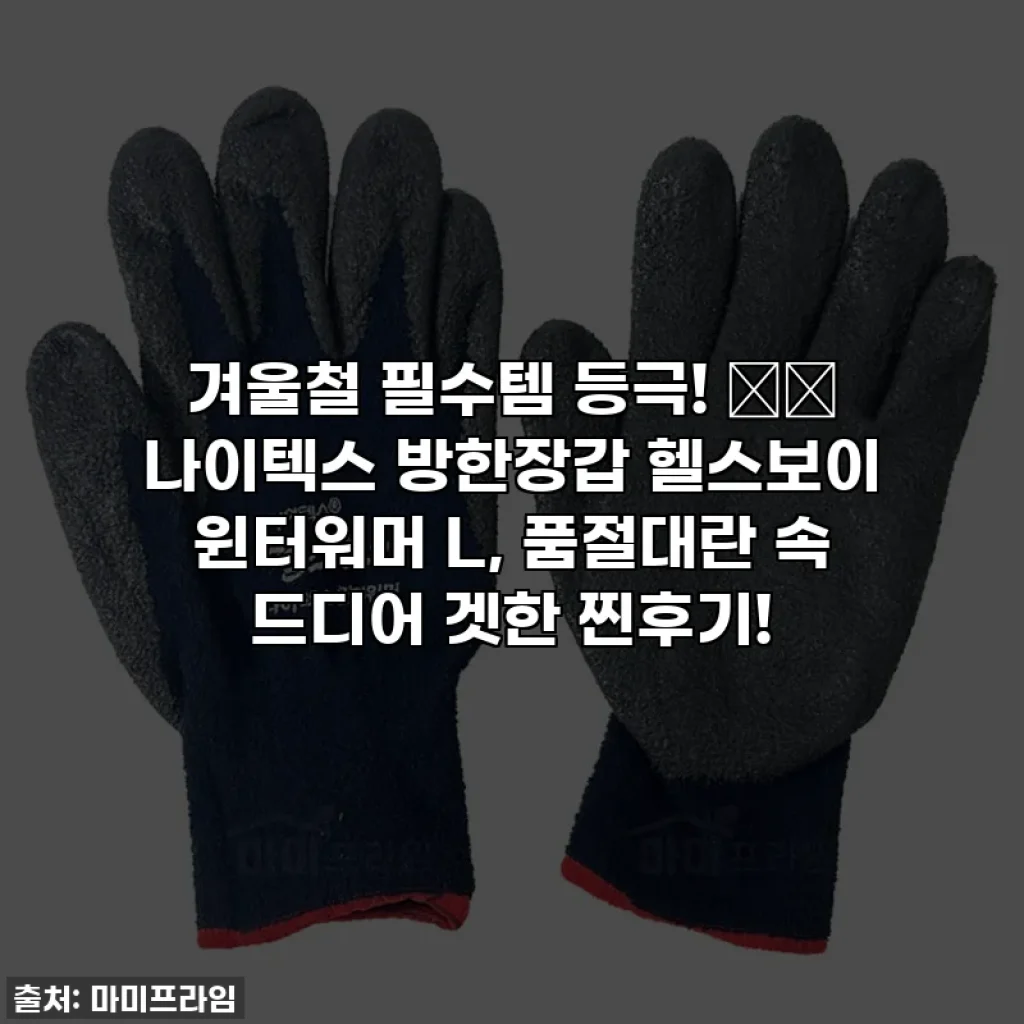 겨울철 필수템 등극! ❄️ 나이텍스 방한장갑 헬스보이 윈터워머 L, 품절대란 속 드디어 겟한 찐후기!