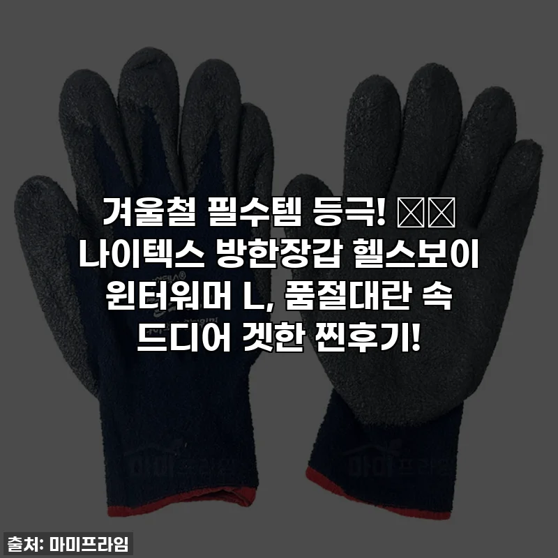 겨울철 필수템 등극! ❄️ 나이텍스 방한장갑 헬스보이 윈터워머 L, 품절대란 속 드디어 겟한 찐후기!