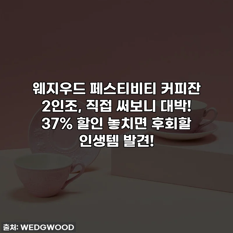 웨지우드 페스티비티 커피잔 2인조, 직접 써보니 대박! 37% 할인 놓치면 후회할 인생템 발견!