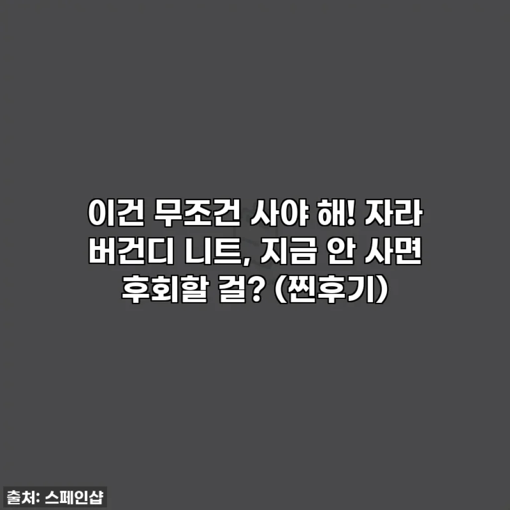 이건 무조건 사야 해! 자라 버건디 니트, 지금 안 사면 후회할 걸? (찐후기)