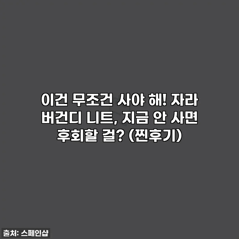 이건 무조건 사야 해! 자라 버건디 니트, 지금 안 사면 후회할 걸? (찐후기)