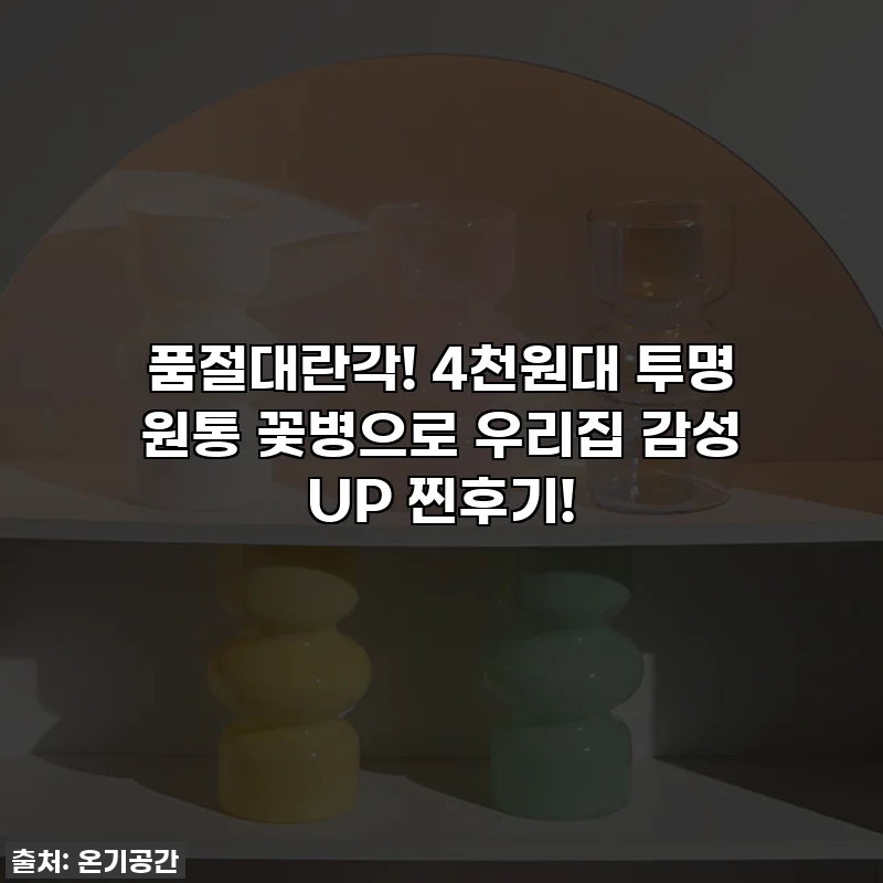 품절대란각! 4천원대 투명 원통 꽃병으로 우리집 감성 UP 찐후기!