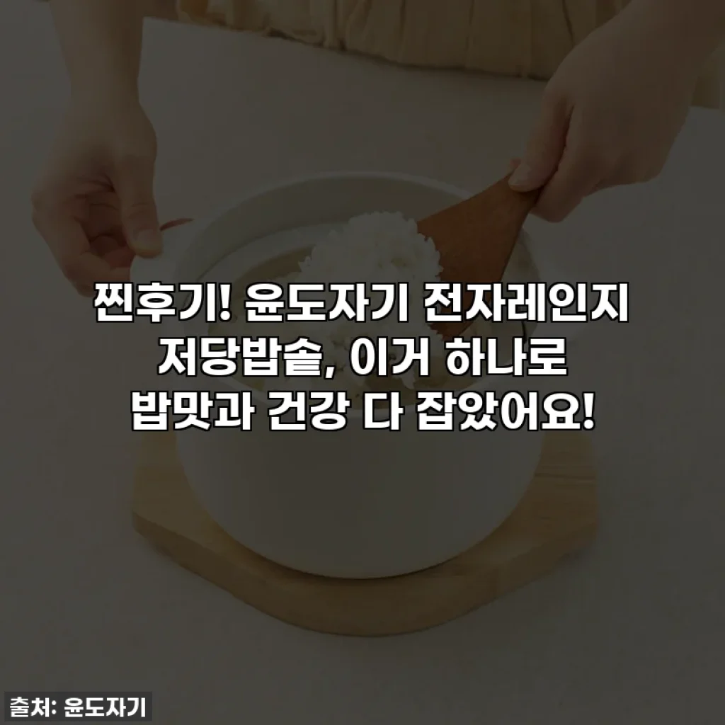 찐후기! 윤도자기 전자레인지 저당밥솥, 이거 하나로 밥맛과 건강 다 잡았어요!