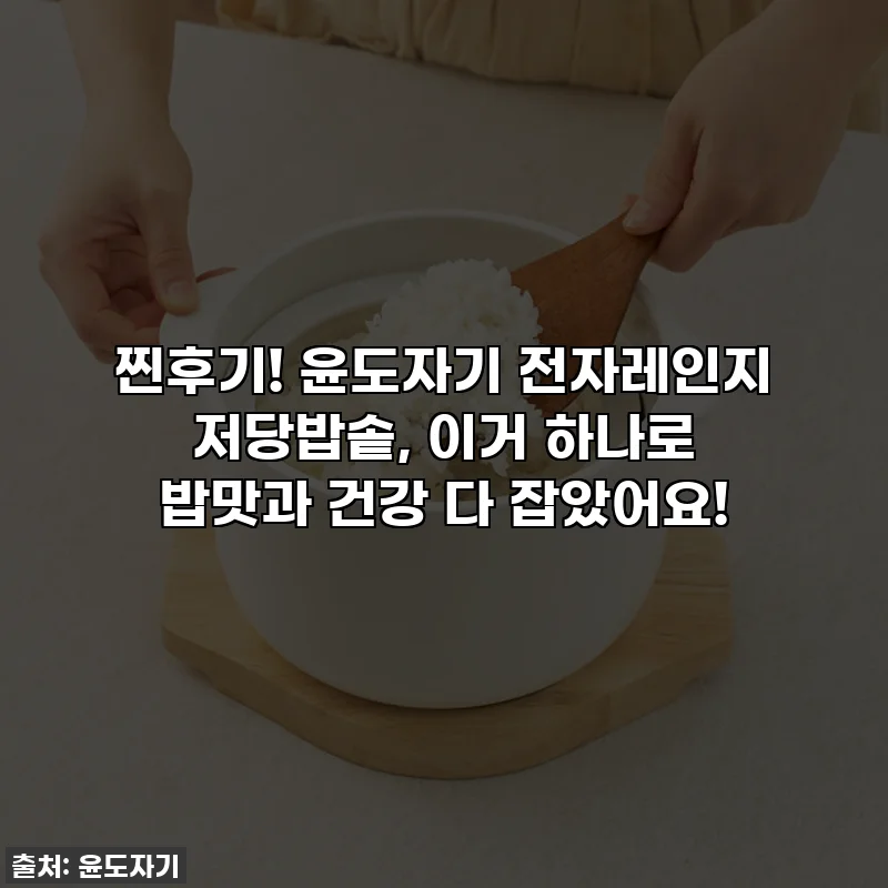 찐후기! 윤도자기 전자레인지 저당밥솥, 이거 하나로 밥맛과 건강 다 잡았어요!