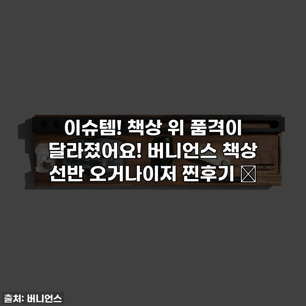 이슈템! 책상 위 품격이 달라졌어요! 버니언스 책상 선반 오거나이저 찐후기 ✨