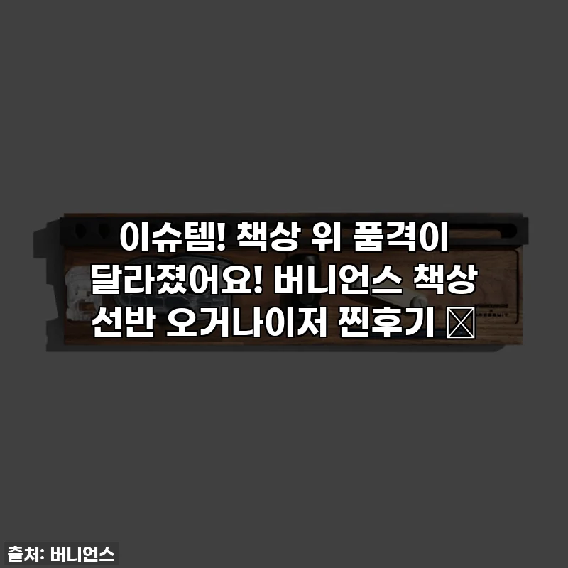 이슈템! 책상 위 품격이 달라졌어요! 버니언스 책상 선반 오거나이저 찐후기 ✨