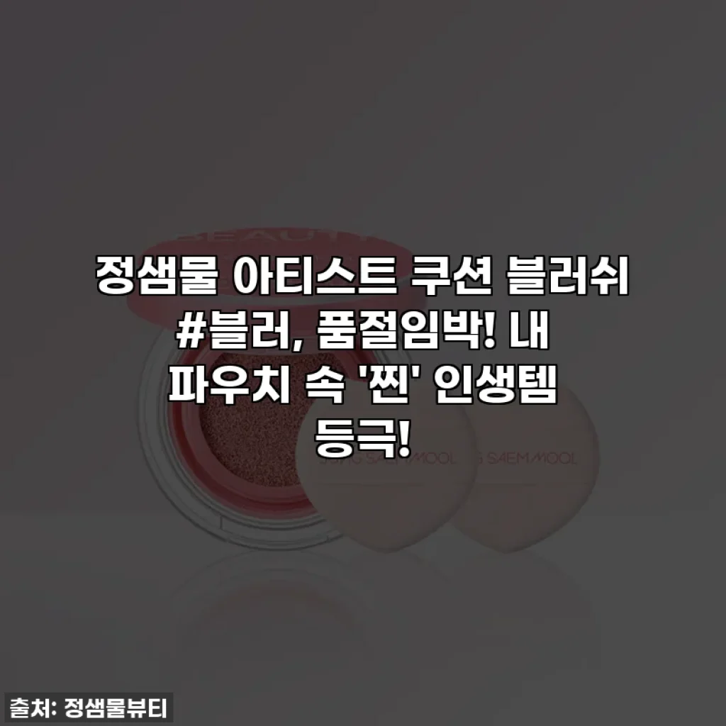 정샘물 아티스트 쿠션 블러쉬 #블러, 품절임박! 내 파우치 속 '찐' 인생템 등극!
