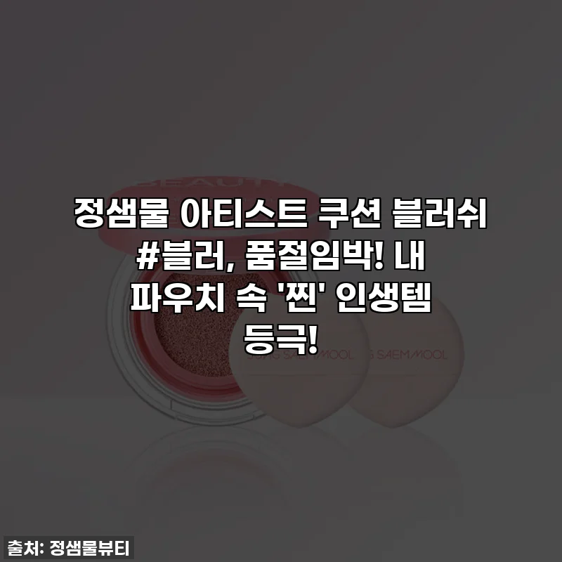 정샘물 아티스트 쿠션 블러쉬 #블러, 품절임박! 내 파우치 속 '찐' 인생템 등극!