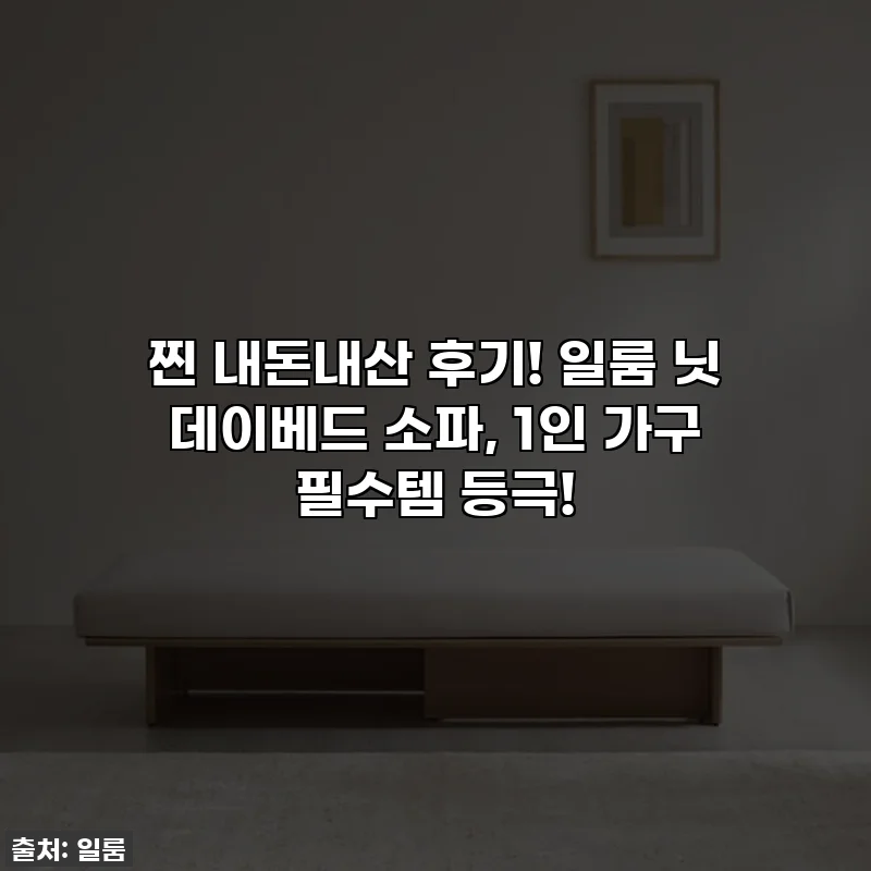 찐 내돈내산 후기! 일룸 닛 데이베드 소파, 1인 가구 필수템 등극!