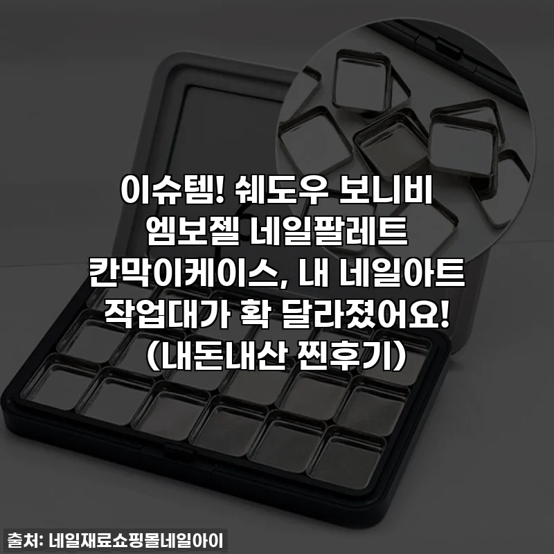 이슈템! 쉐도우 보니비 엠보젤 네일팔레트 칸막이케이스, 내 네일아트 작업대가 확 달라졌어요! (내돈내산 찐후기)