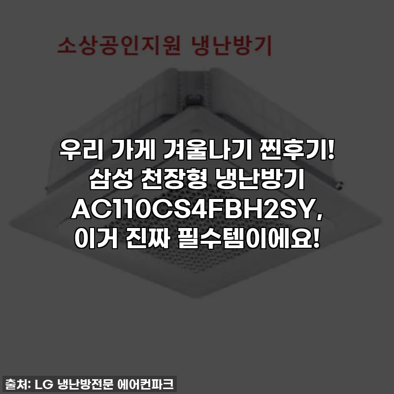 우리 가게 겨울나기 찐후기! 삼성 천장형 냉난방기 AC110CS4FBH2SY, 이거 진짜 필수템이에요!