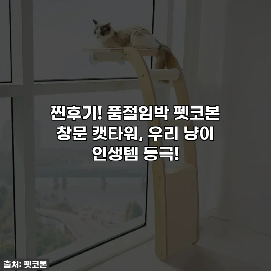 찐후기! 품절임박 펫코본 창문 캣타워, 우리 냥이 인생템 등극!