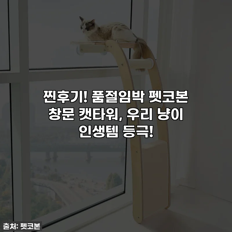 찐후기! 품절임박 펫코본 창문 캣타워, 우리 냥이 인생템 등극!