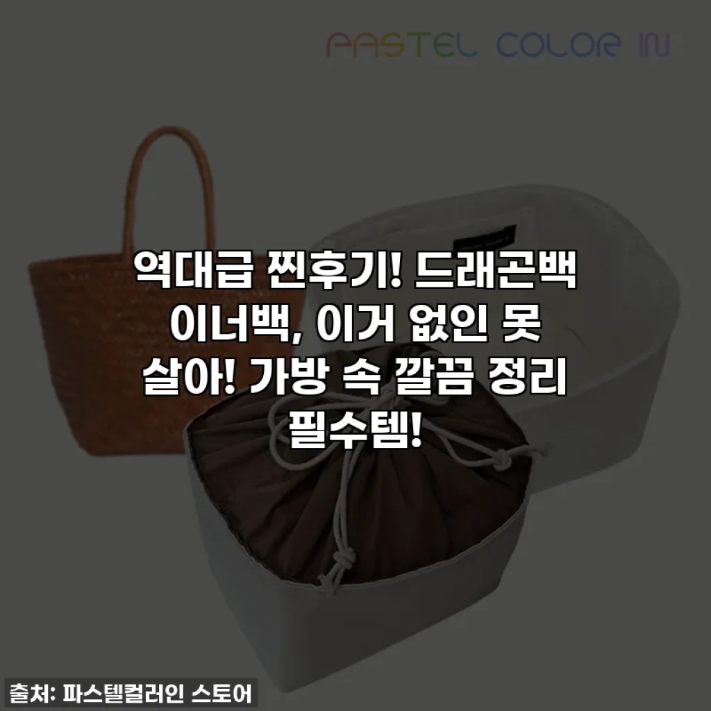 역대급 찐후기! 드래곤백 이너백, 이거 없인 못 살아! 가방 속 깔끔 정리 필수템!