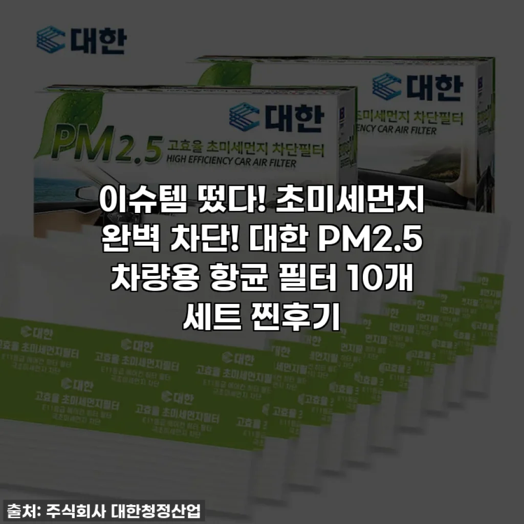 이슈템 떴다! 초미세먼지 완벽 차단! 대한 PM2.5 차량용 항균 필터 10개 세트 찐후기