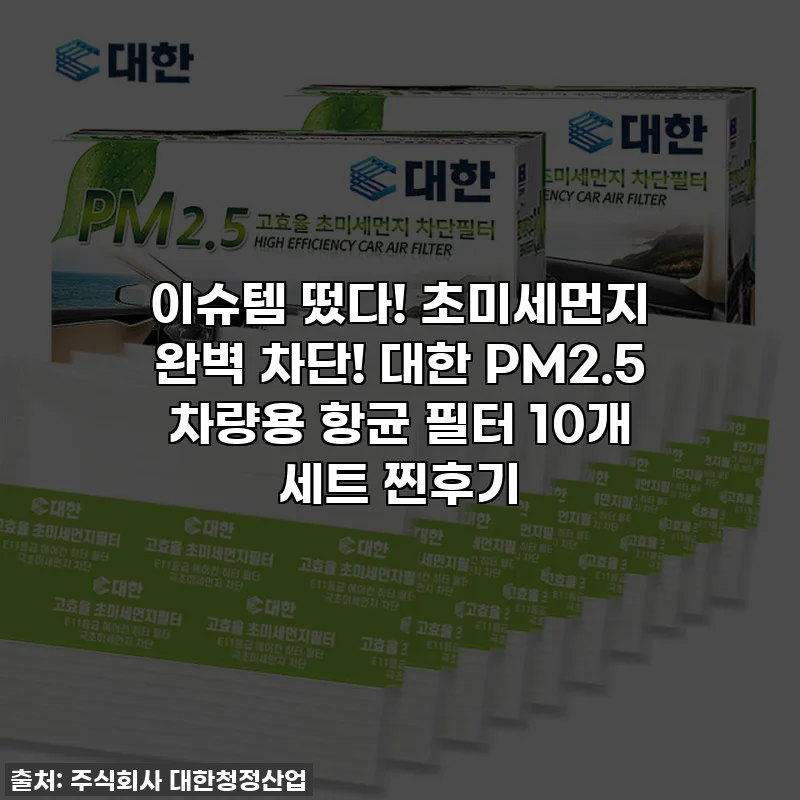 이슈템 떴다! 초미세먼지 완벽 차단! 대한 PM2.5 차량용 항균 필터 10개 세트 찐후기