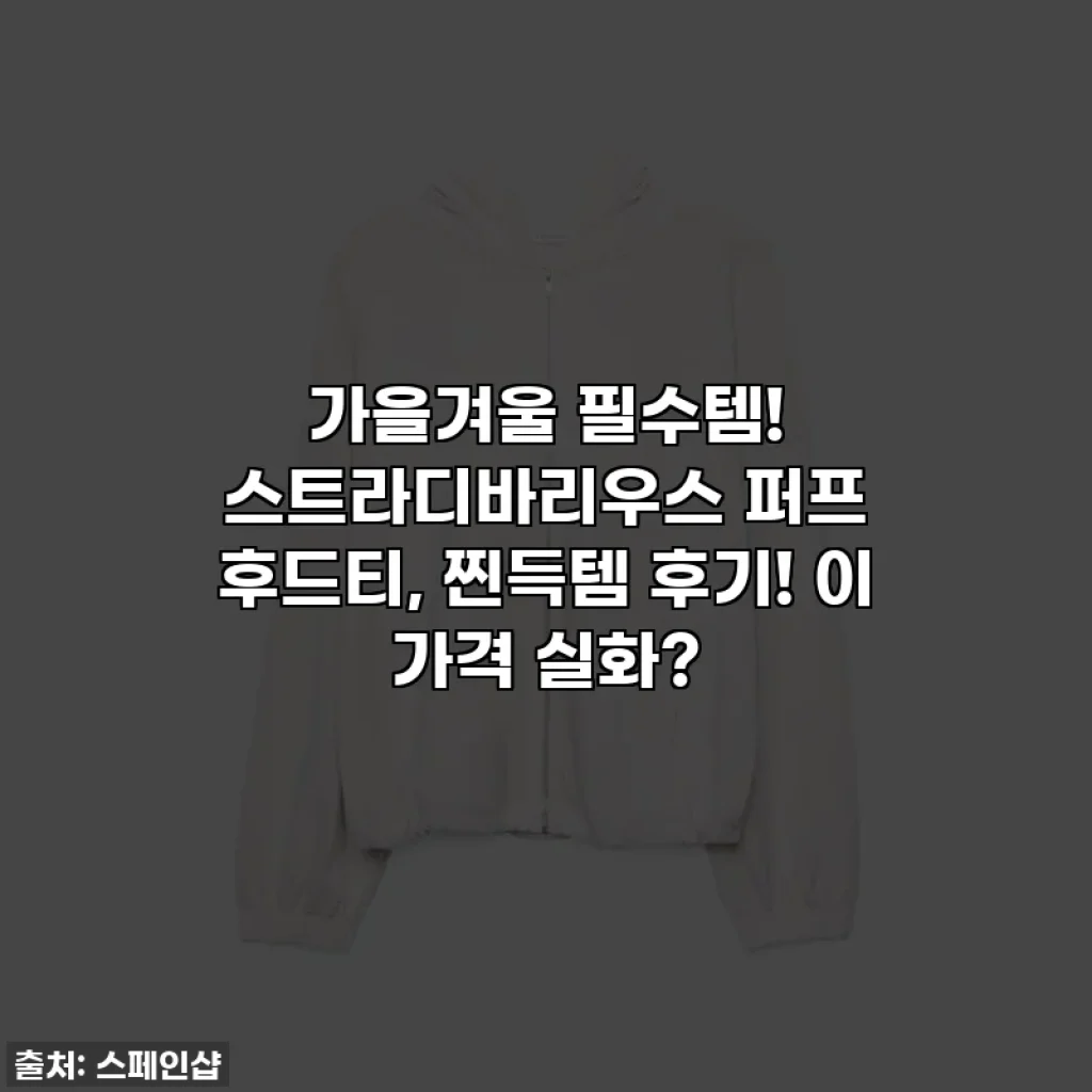 가을겨울 필수템! 스트라디바리우스 퍼프 후드티, 찐득템 후기! 이 가격 실화?