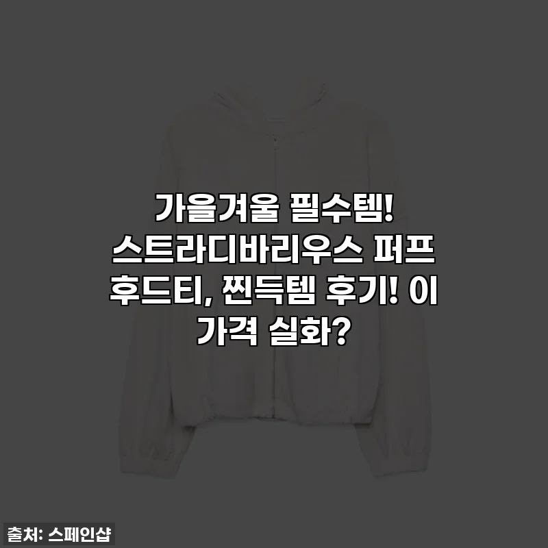 가을겨울 필수템! 스트라디바리우스 퍼프 후드티, 찐득템 후기! 이 가격 실화?
