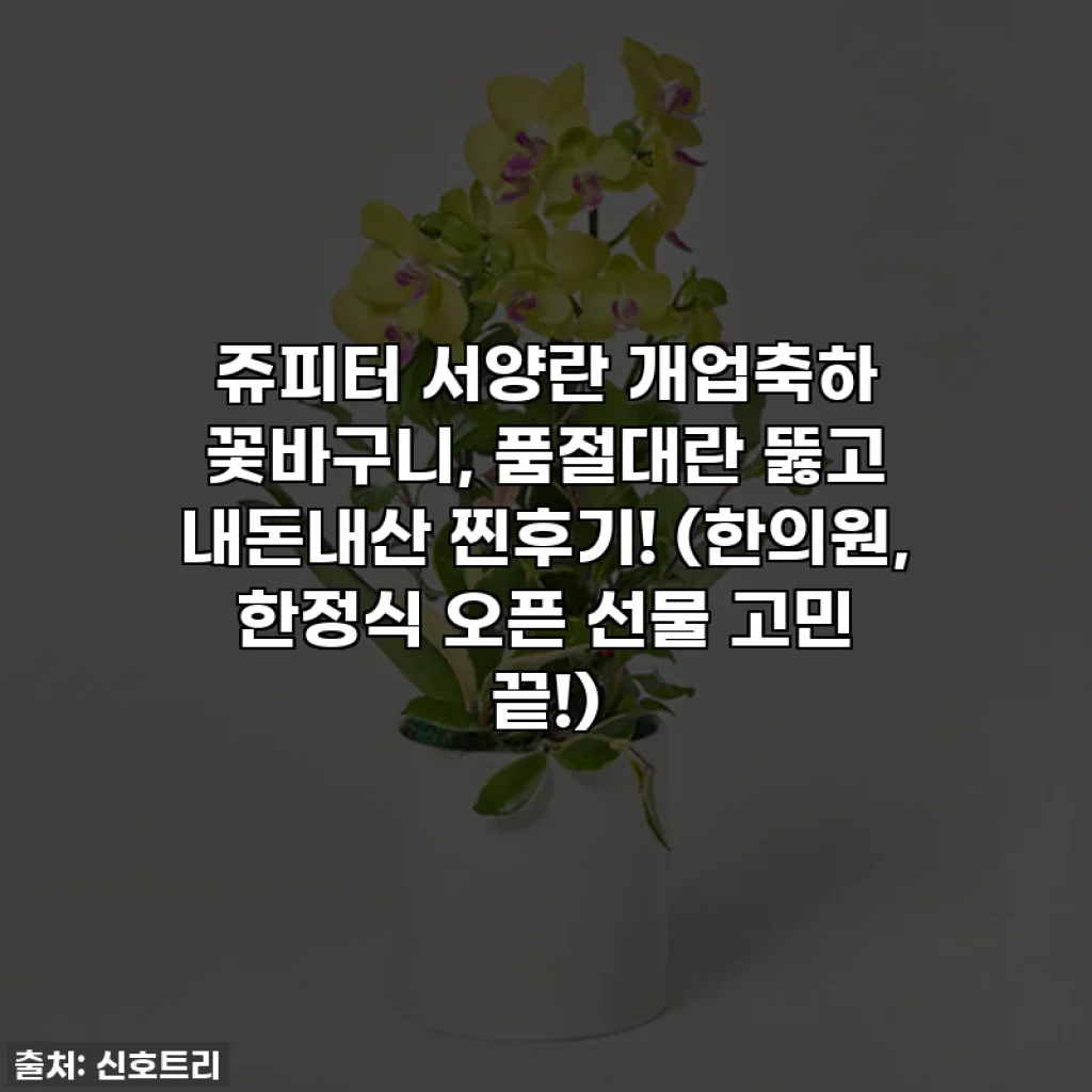 쥬피터 서양란 개업축하 꽃바구니, 품절대란 뚫고 내돈내산 찐후기! (한의원, 한정식 오픈 선물 고민 끝!)