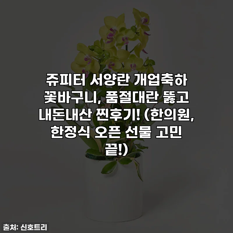 쥬피터 서양란 개업축하 꽃바구니, 품절대란 뚫고 내돈내산 찐후기! (한의원, 한정식 오픈 선물 고민 끝!)