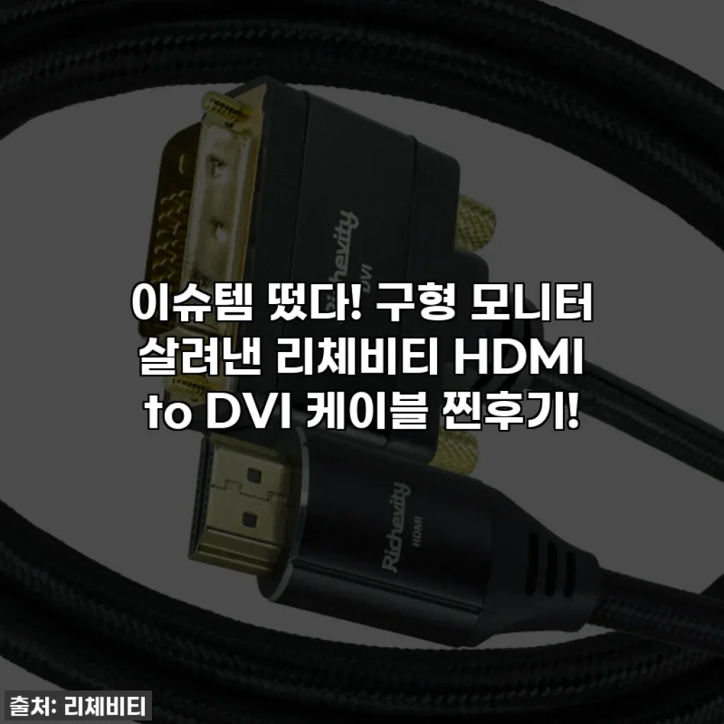 이슈템 떴다! 구형 모니터 살려낸 리체비티 HDMI to DVI 케이블 찐후기!