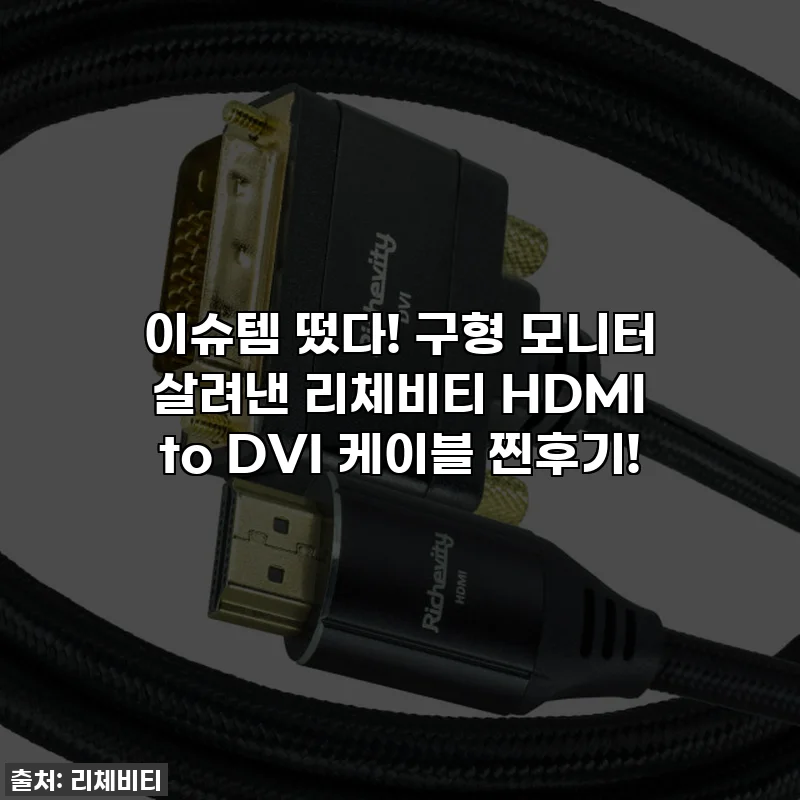 이슈템 떴다! 구형 모니터 살려낸 리체비티 HDMI to DVI 케이블 찐후기!