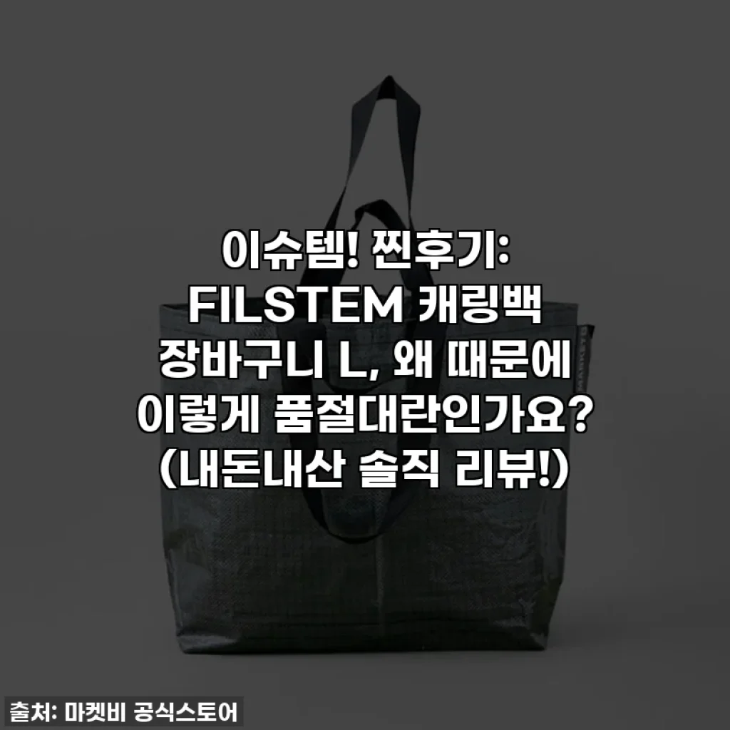 이슈템! 찐후기: FILSTEM 캐링백 장바구니 L, 왜 때문에 이렇게 품절대란인가요? (내돈내산 솔직 리뷰!)