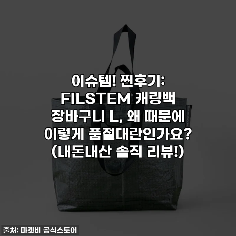 이슈템! 찐후기: FILSTEM 캐링백 장바구니 L, 왜 때문에 이렇게 품절대란인가요? (내돈내산 솔직 리뷰!)