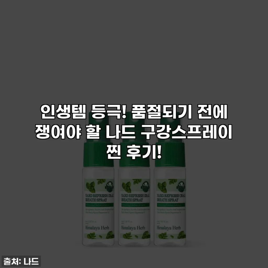 인생템 등극! 품절되기 전에 쟁여야 할 나드 구강스프레이 찐 후기!