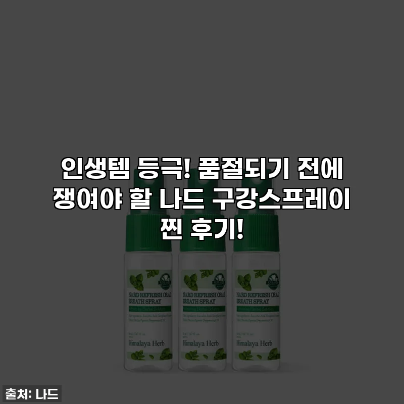 인생템 등극! 품절되기 전에 쟁여야 할 나드 구강스프레이 찐 후기!
