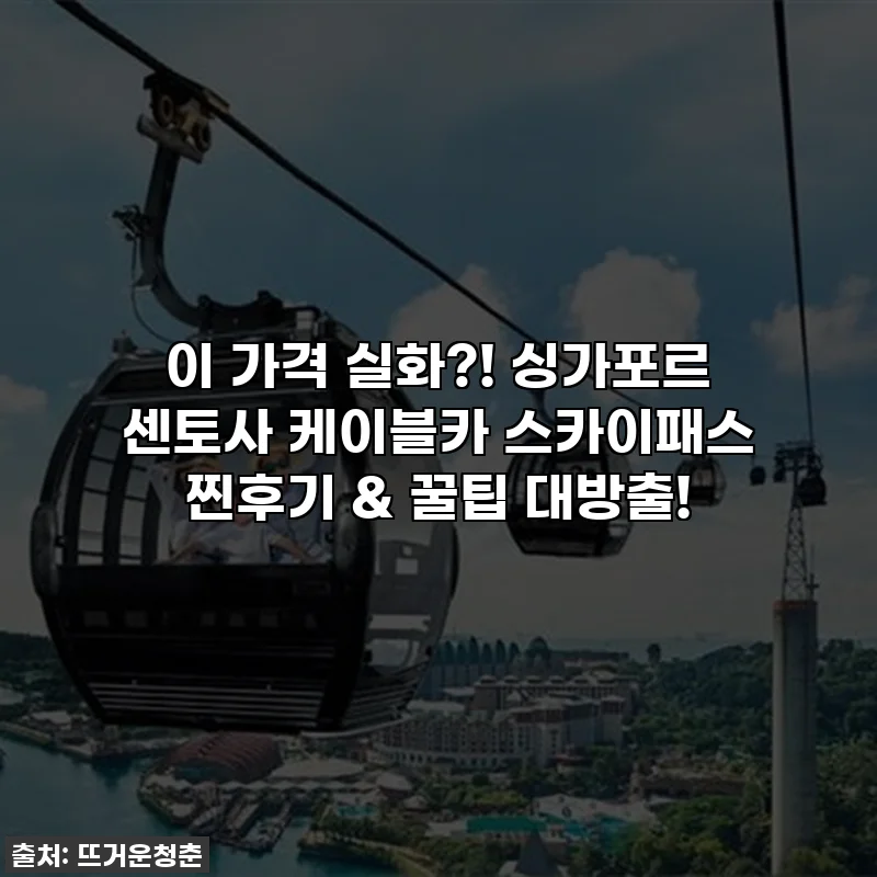 이 가격 실화?! 싱가포르 센토사 케이블카 스카이패스 찐후기 & 꿀팁 대방출!