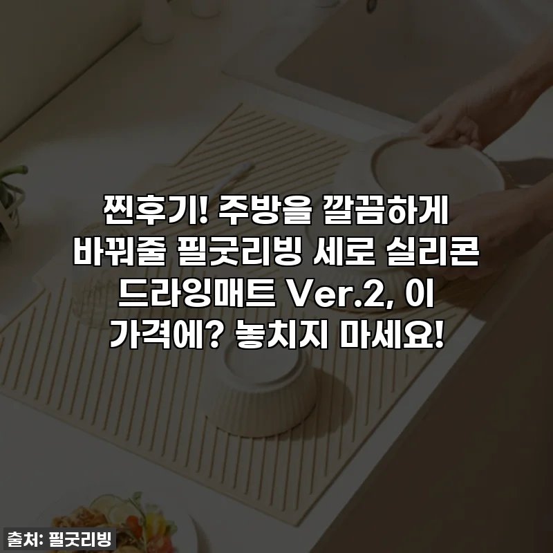 찐후기! 주방을 깔끔하게 바꿔줄 필굿리빙 세로 실리콘 드라잉매트 Ver.2, 이 가격에? 놓치지 마세요!