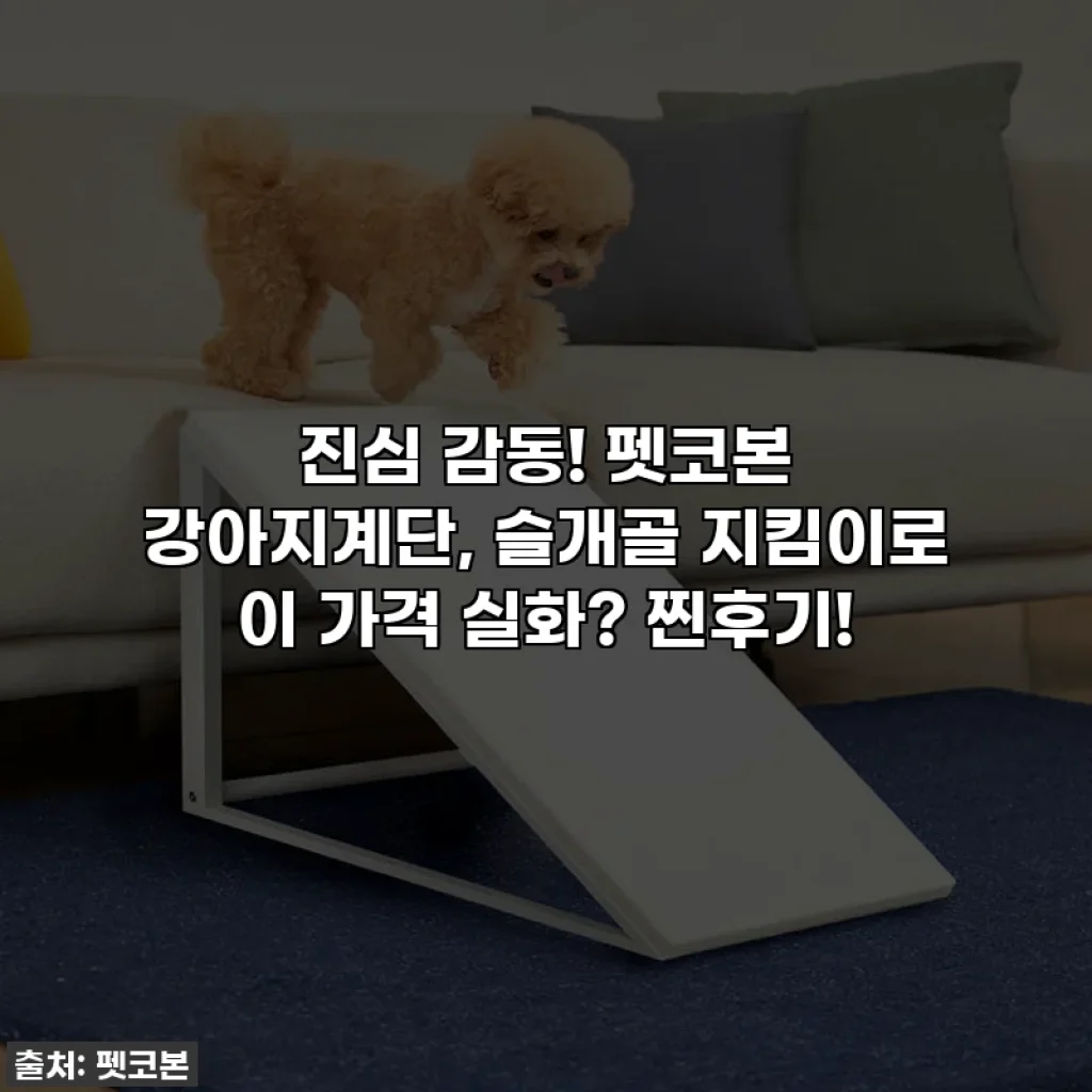 진심 감동! 펫코본 강아지계단, 슬개골 지킴이로 이 가격 실화? 찐후기!