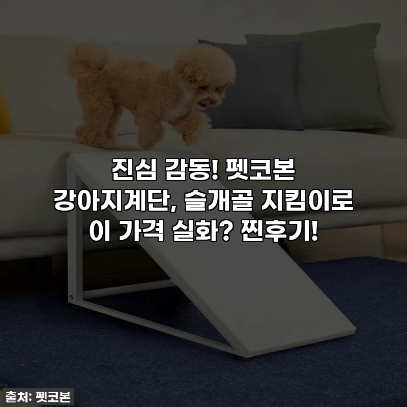 진심 감동! 펫코본 강아지계단, 슬개골 지킴이로 이 가격 실화? 찐후기!