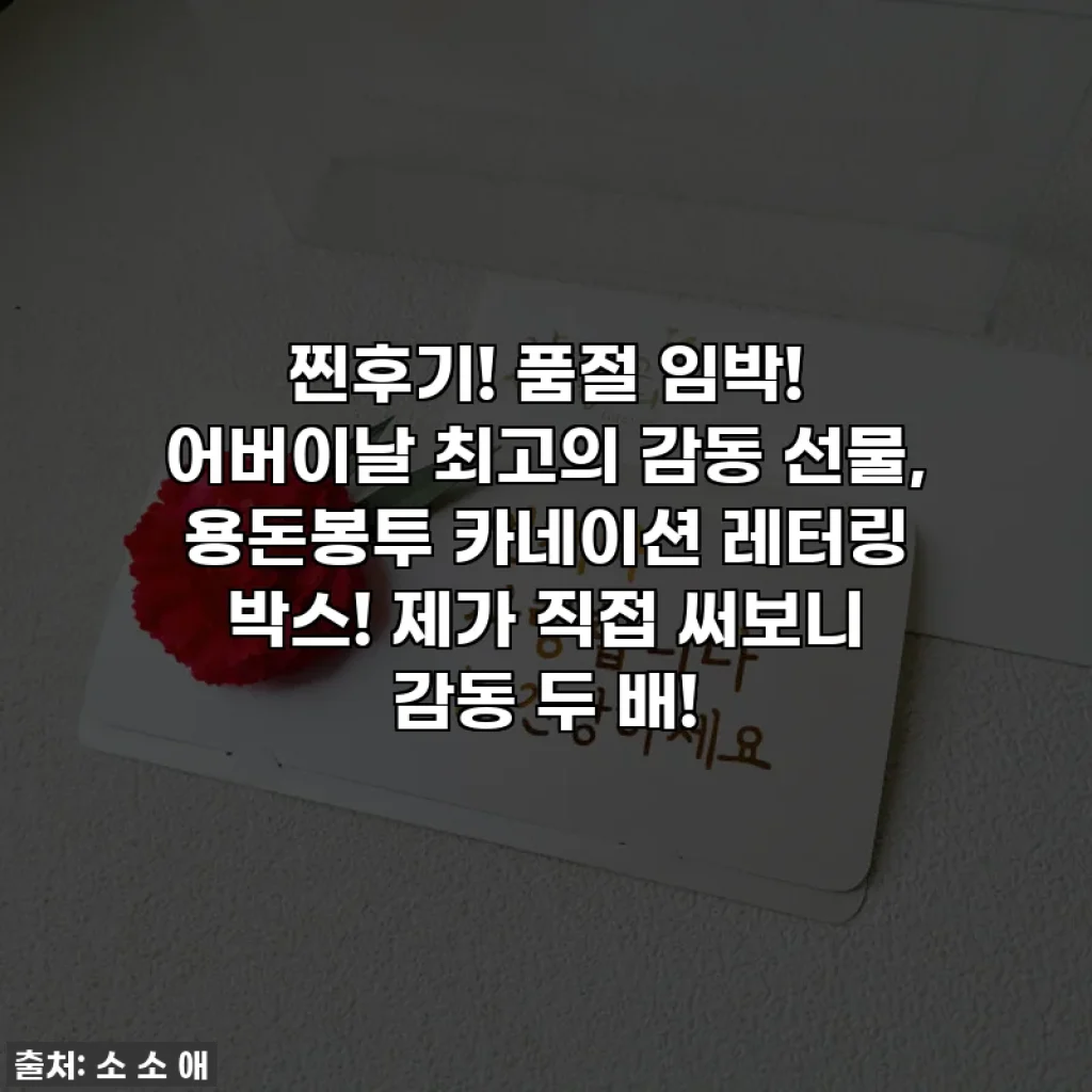 찐후기! 품절 임박! 어버이날 최고의 감동 선물, 용돈봉투 카네이션 레터링 박스! 제가 직접 써보니 감동 두 배!