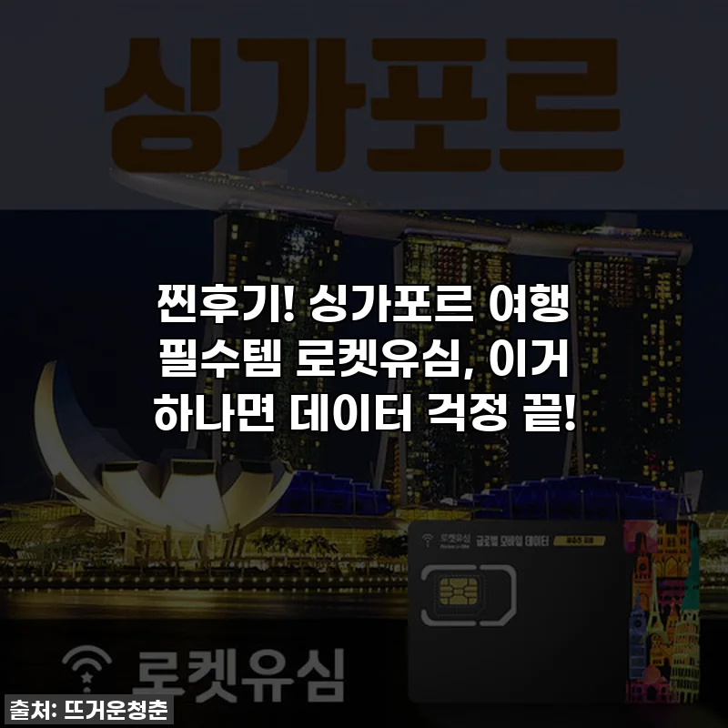 찐후기! 싱가포르 여행 필수템 로켓유심, 이거 하나면 데이터 걱정 끝!