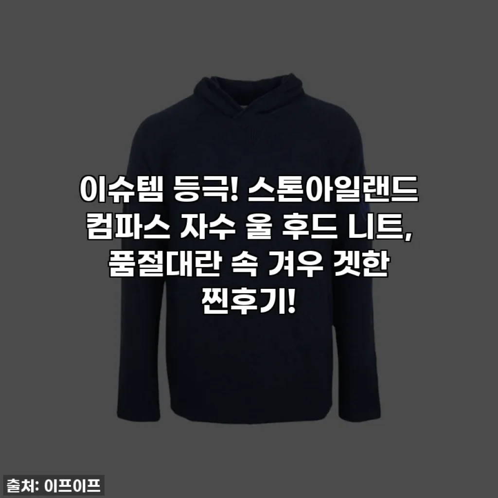 이슈템 등극! 스톤아일랜드 컴파스 자수 울 후드 니트, 품절대란 속 겨우 겟한 찐후기!