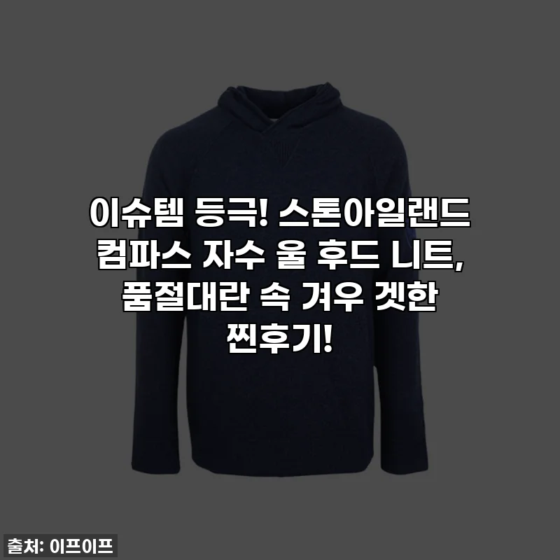 이슈템 등극! 스톤아일랜드 컴파스 자수 울 후드 니트, 품절대란 속 겨우 겟한 찐후기!