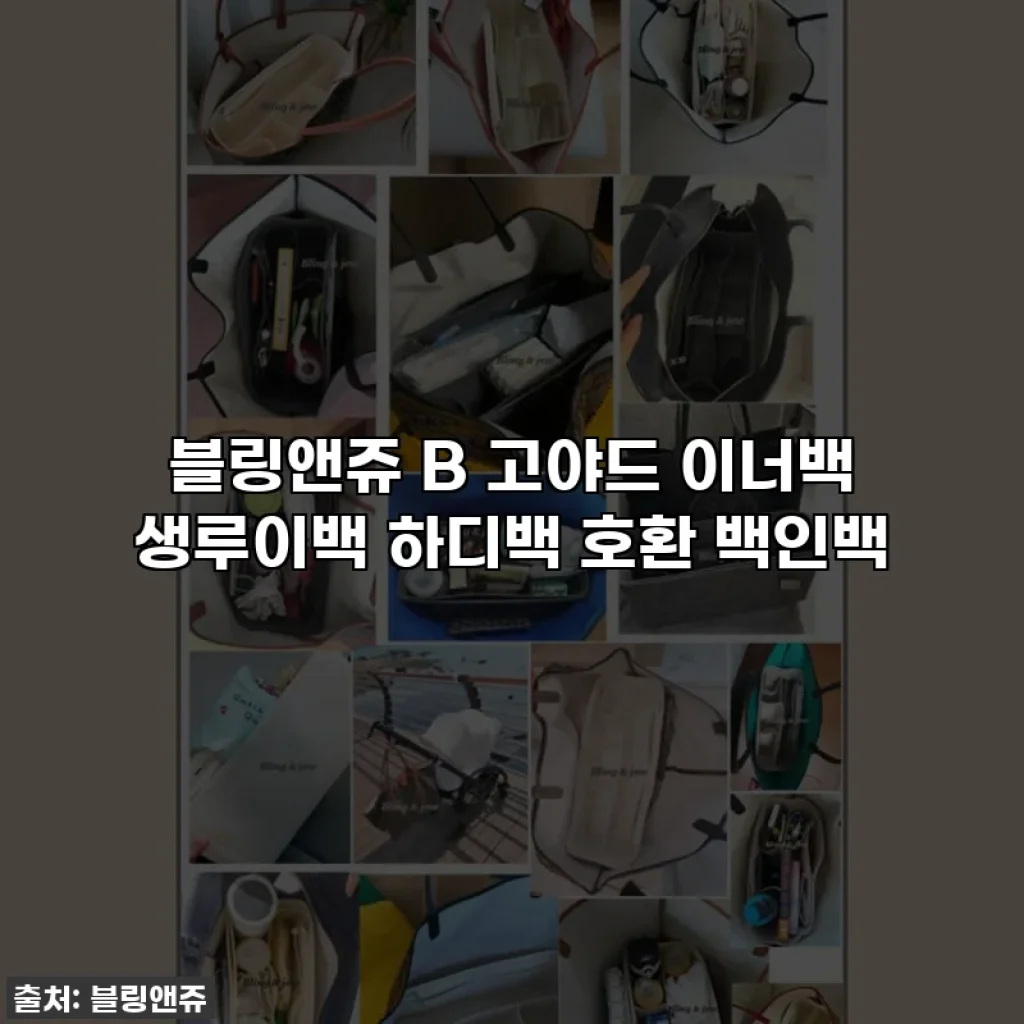 블링앤쥬 B 고야드 이너백 생루이백 하디백 호환 백인백