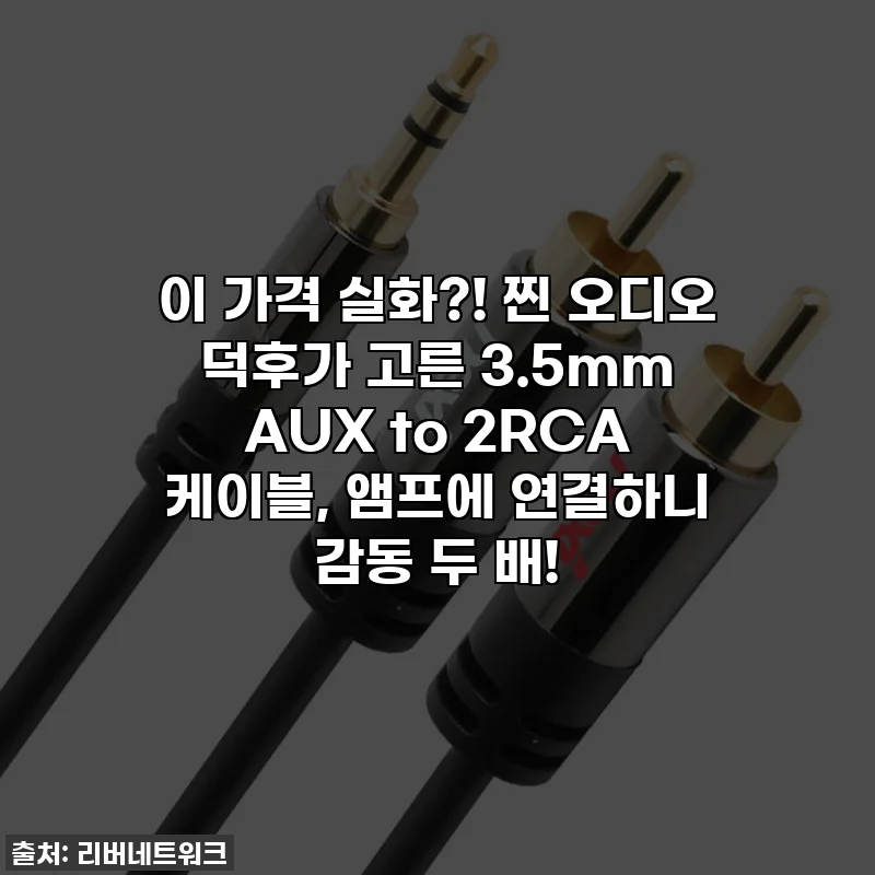 이 가격 실화?! 찐 오디오 덕후가 고른 3.5mm AUX to 2RCA 케이블, 앰프에 연결하니 감동 두 배!