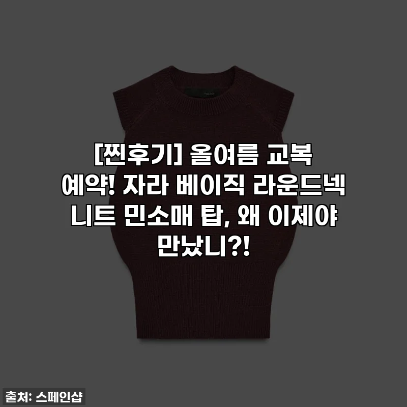 [찐후기] 올여름 교복 예약! 자라 베이직 라운드넥 니트 민소매 탑, 왜 이제야 만났니?!