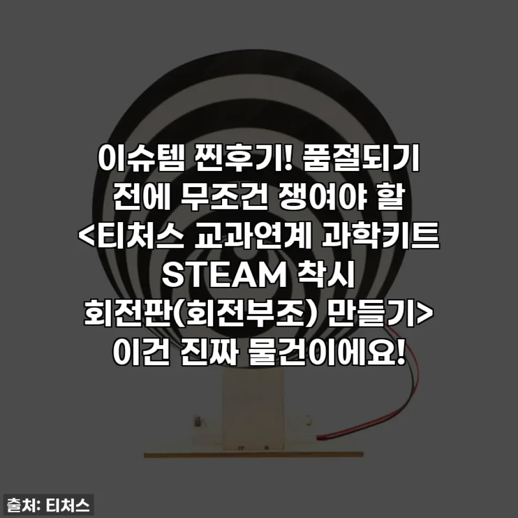 이슈템 찐후기! 품절되기 전에 무조건 쟁여야 할 이건 진짜 물건이에요!