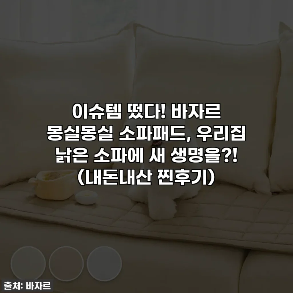 이슈템 떴다! 바자르 몽실몽실 소파패드, 우리집 낡은 소파에 새 생명을?! (내돈내산 찐후기)