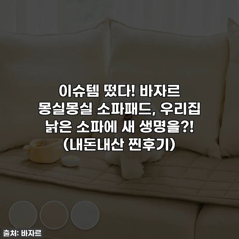 이슈템 떴다! 바자르 몽실몽실 소파패드, 우리집 낡은 소파에 새 생명을?! (내돈내산 찐후기)